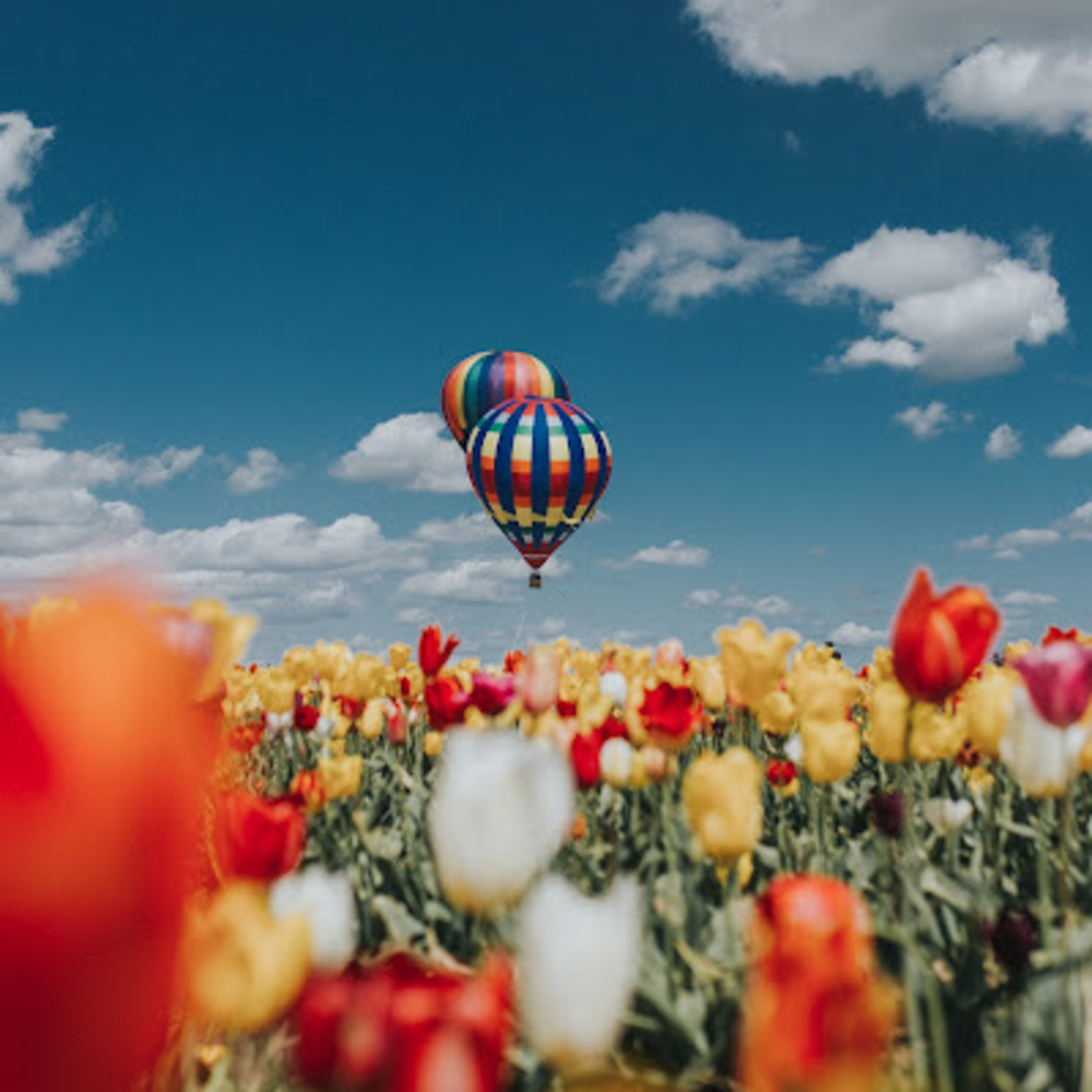 Meet your Posher, Cora